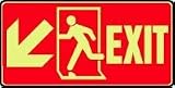 EMERGENCY AND FIRE E EXIT (W/GRAPHIC) (ARROW) (GLOW) 7