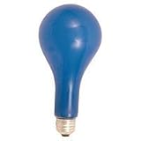 EBW PhotoFlood Lamp 500w 120v (Blue, 4800k)