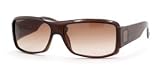 GUCCI 1563, GG 1563/S REM BROWN PLASTIC SUNGLASSES