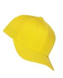Flexfit Wooly Low-Profile 6-Panel Cap