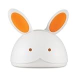 Skip hop Hare Brush and Comb Set