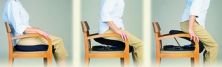1 EACH OF Uplift Seat Assist - 17'W x 19D, Lifts 200 - 350 lb