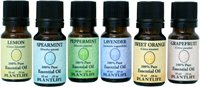 Essential Oil Home Aromatherapy Sampler Set- 6/10 ml.