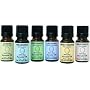 Essential Oil Home Aromatherapy Sampler Set- 6/10 ml.