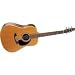 Seagull Maritime Cedar Gloss Top Acoustic Guitar