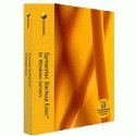 Symantec Backup Exec for Windows Servers Desktop and Laptop Option - (version 12 ) - ensemble complet - 10 ordinateurs de bureau/10 ordinateurs portables - Symantec Buying Programs : Business Pack - CD - Win - Multi