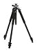 Giottos GTMTL3261B - 3 Section Pro Aluminium Tripod With Vertical Column