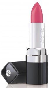 Chambor Powder Matte Lipstick - Pink Flamingo 176