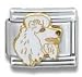 poodle21 - Clearly Charming White Poodle Dog Breed Canine Collection