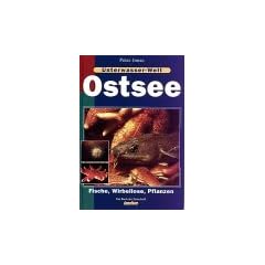Unterwasser-Welt Ostsee