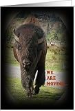 Bison We Are Moving Animal Card Blank Card Note Card Card