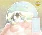 Tale of Peter Rabbit (Rabbit Ears)