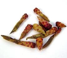 Yunnan Flower Bud Tea Leaves - Organic Teas from China by Generation Tea