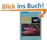 Salmler, Ratgeber