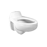American Standard 2513.018.020 Prison Instanto Elongated Bowl Only, White