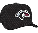 Minor League Baseball Cap - Idaho Falls Chukars Batting Practice Cap by New Era
