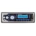 Pyramid 1704MP AM/FM Receiver MP3 Playback with USB/SD/AUXIN