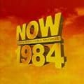 Now That's What I Call Music 1984 - 10th Anniversary