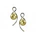 14K White Gold 1/2 ct. Diamond with Natural Golden title=