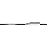 Carbon Express T1149-31 Rebel Carbon Arrow