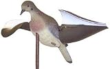 Sporting Goods : Expedite Air Dove
