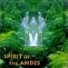Search : Spirit of the Andes
