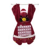SC Sports Arizona Cardinals Team Advent Calendar