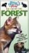 Babies of the Forest (Baby Animals at Play)