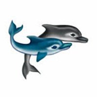 SWIMMING DOLPHINS Temporary Tattoo 2x2