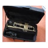 JM TRUMPET CASE, lightweight, with space for mutes