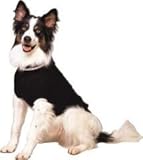 IMAGE OF CLASSIC CABLE DOG SWEATER Black Small