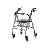 Guardian Envoy 460 Economy Rolling Walker - Color Blue