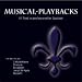 Producer-Koen-Schoots-Musical Playbacks (3 Musketiere, Mozart, Elisabeth, Jekyll & Hyde) cd cover