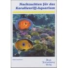 Nachzuchten f�r das Korallenriff-Aquarium