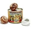 Burgundy Snails