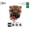 THE DOG～Shiba