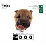 THE DOG～Shiba