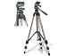 Compact Tripod with 3-Way Panhead
