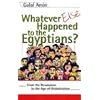 Whatever Else Happened to the Egyptians?: From the Revolution to the Age of Globalization