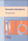 S&uuml;&szlig;wasserfauna von Mitteleuropa Paket: S&uuml;&szlig;wasserfauna von Mitteleuropa, 21 Bde., Bd.4/2-1, Nematoda, Adenophorea (Dorylaimida): BD 4/2-2 - P.A.A. Loof
