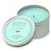 Archipelago Botanicals Veranda Tin Candle