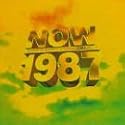 Now That's What I Call Music 1987 - 10th Anniversary
