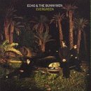 Evergreen by Echo & The Bunnymen