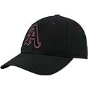 Zephyr Arkansas Razorbacks Black Fadeout Fitted Hat