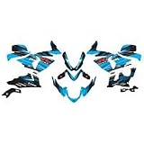 06-07 SUZUKI GSXR600: FACTORY EFFEX EV-X COMPLETE GRAPHIC KIT - OEM COLORS by Factory Effex