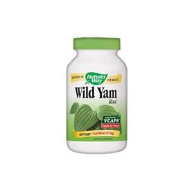 Natures Way Wild Yam