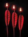 Easton Carbon Express Lumenok (Lighted Arrow) Nocks