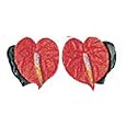 BUY : Hawaiian Pierced Flower Earrings Red Anthurium
