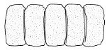 509339000 7IN. PIPE ROLLER REF SIZE:7X7/8