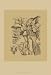 Orchid on Khaki(WG) V, Art Poster by Samuel Curtis
